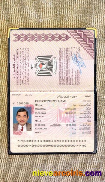 Palestine passport photolook